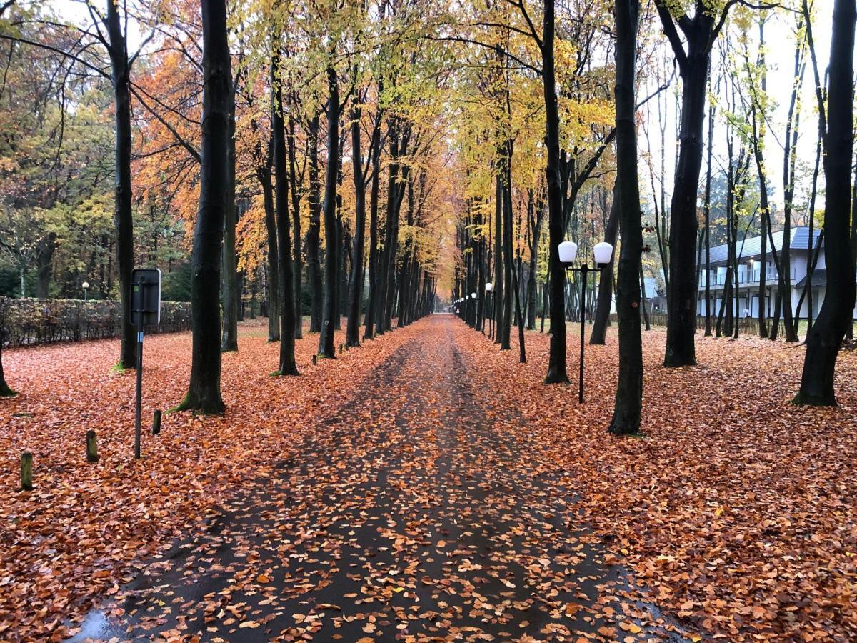 Vakantie-Hengelhoef Aan de Wolfsberg ภายนอก รูปภาพ